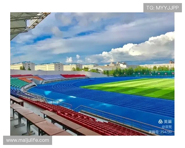 聚焦世界田径赛事劲旅崛起与荣耀征程全景解析实力版图与未来挑战 - 副本 - 副本 (4)