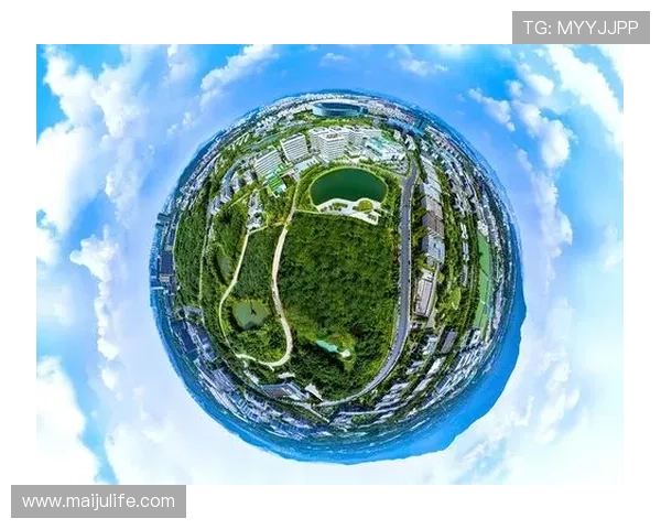 聚焦体育赛事核心数据驱动的竞技表现与趋势分析全景洞察研究报告 - 副本 - 副本 - 副本 - 副本 (2)