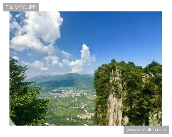 非洲雄狮崛起象征大地力量与生态复兴的壮丽篇章 - 副本 (3) - 副本 - 副本