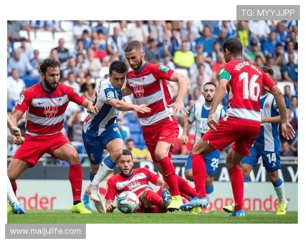 意甲赛事实时比分更新中心 关注每一场比赛精彩瞬间 意甲赛事实时比分更新中心 关注每一场比赛精彩瞬间