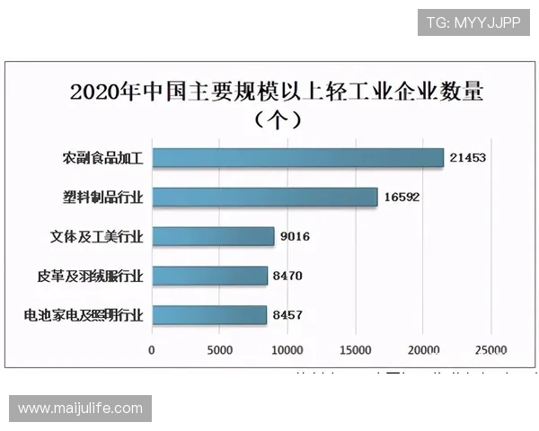 全国体育盛事回顾与未来发展趋势深度解析报道 - 副本 - 副本